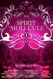 Poster DMT: The Spirit Molecule