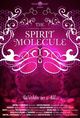 Film - DMT: The Spirit Molecule