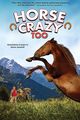 Film - Horse Crazy 2: The Legend of Grizzly Mountain