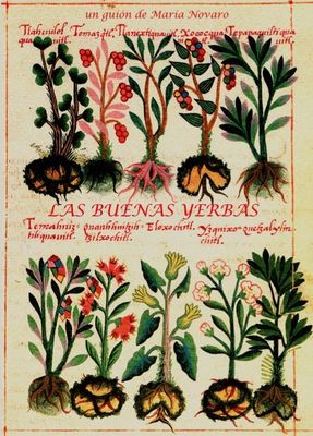 Las buenas yerbas poster