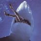 Malibu Shark Attack/Malibu: Atacul rechinilor
