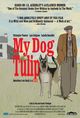 Film - My Dog Tulip
