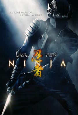 Ninja poster