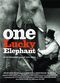 Film One Lucky Elephant