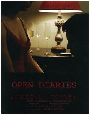 Open Diaries poster