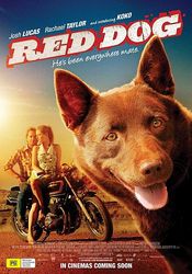 Poster Red Dog