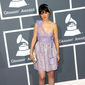 Foto 29 The 51st Annual Grammy Awards