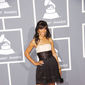 Foto 1 The 51st Annual Grammy Awards
