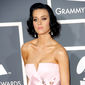 Foto 12 The 51st Annual Grammy Awards