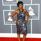 Foto 25 The 51st Annual Grammy Awards