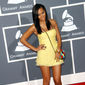 Foto 22 The 51st Annual Grammy Awards