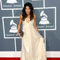Foto 20 The 51st Annual Grammy Awards