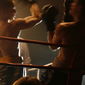 The Boxer/Boxerul
