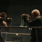 The Boxer/Boxerul