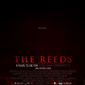 The Reeds/The Reeds