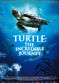 Film Turtle: The Incredible Journey