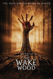 Poster Wake Wood