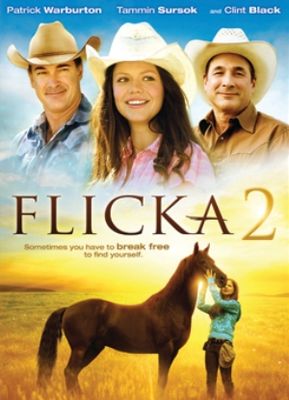 Flicka 2 poster
