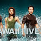 Poster 2 Hawaii Five-0