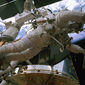 Foto 22 IMAX: Hubble 3D