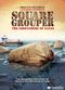 Film Square Grouper