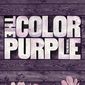 Poster 2 The Color Purple