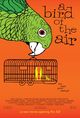 Film - A Bird of the Air
