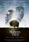 Film The Mulberry Tree