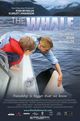 Film - The Whale