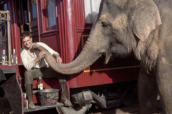 Robert Pattinson în Water for Elephants