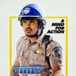Poster 4 CHIPS