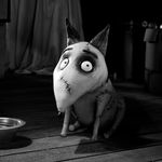 Imagine din galeria filmului Frankenweenie