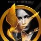 Poster 28 The Hunger Games