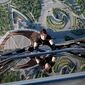 Tom Cruise în Mission: Impossible - Ghost Protocol - poza 212