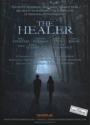 The Healer poster