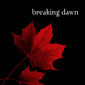 Poster 22 The Twilight Saga: Breaking Dawn - Part 1