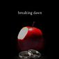 Poster 24 The Twilight Saga: Breaking Dawn - Part 1