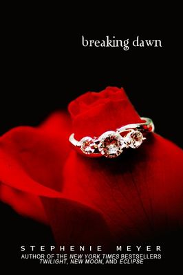 The Twilight Saga: Breaking Dawn - Part 1