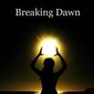 Poster 28 The Twilight Saga: Breaking Dawn - Part 1