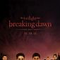 Poster 17 The Twilight Saga: Breaking Dawn - Part 1