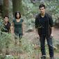 Foto 27 Taylor Lautner în The Twilight Saga: Breaking Dawn - Part 1