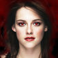 Poster 4 The Twilight Saga: Breaking Dawn - Part 1