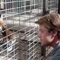 Matt Damon în We Bought a Zoo - poza 308