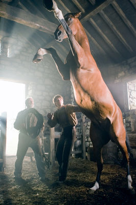 Jeremy Irvine în War Horse