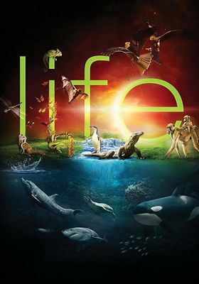 Life poster