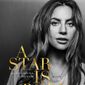 Poster 22 A Star Is Born