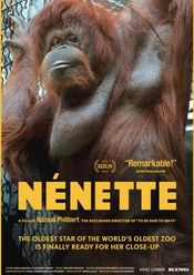 Poster Nénette