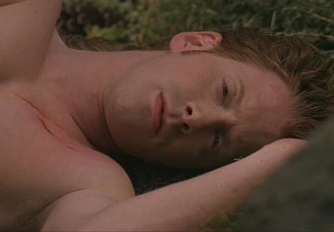 Wild at Heart