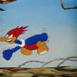 Woody Woodpecker/Woody Woodpecker