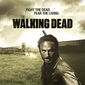 Poster 16 The Walking Dead